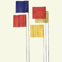 Pin Flags w/15